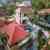 Majestic 54 Pool Villa