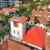 Majestic 54 Pool Villa