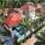 Majestic 54 Pool Villa
